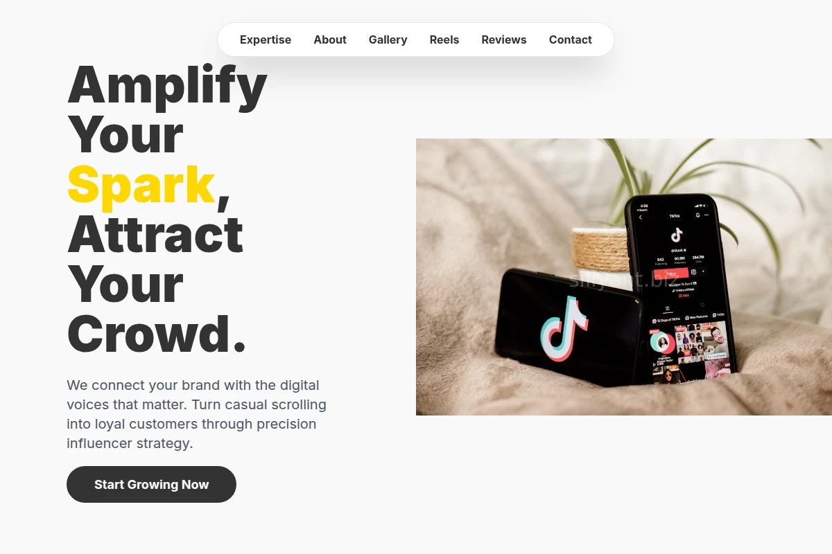 Pulse Influencer Marketing