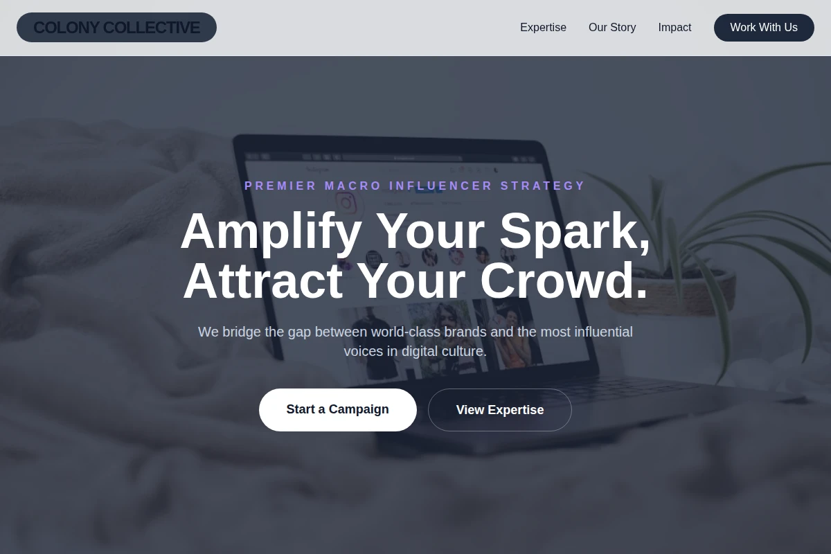 Macro Influencer Marketing